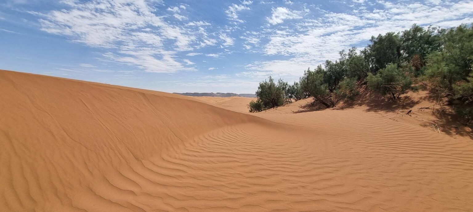 trek dans le désert marocain