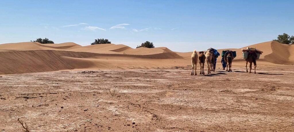 trek dans le desert marocain 3