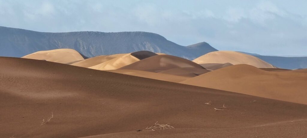 trek dans le désert marocain